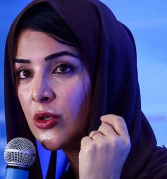 آبنائے ہرمز پر کسی ایک ملک کا کنٹرول نہیں ہونا چاہیے، متحدہ عرب امارات کے دوٹوک مؤقف کی نمائندگی کرتی تصویر جس میں خطے کی اہم سمندری گزرگاہ اور عالمی توانائی ترسیل کے راستے کو دکھایا گیا ہے۔